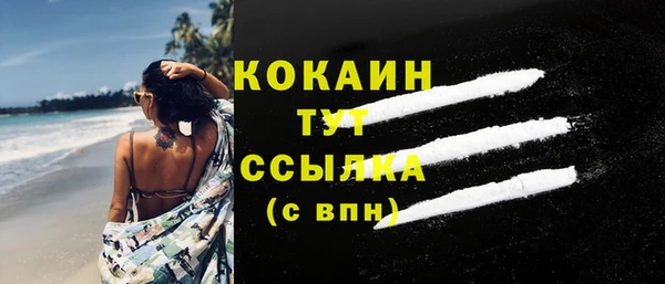 гашик Вязьма