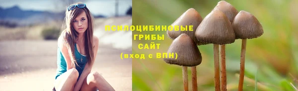 ECSTASY Вязники