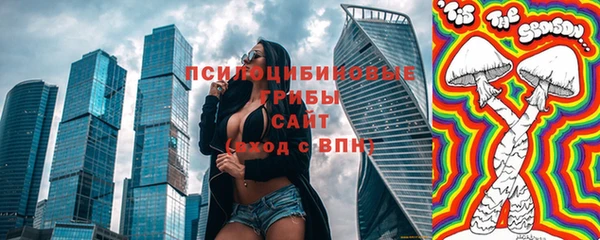 гашик Вязьма
