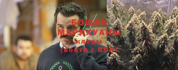 гашик Вязьма