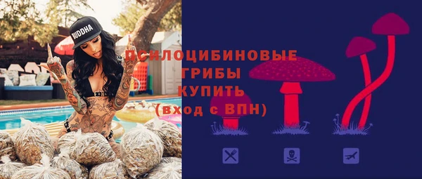 ECSTASY Вязники