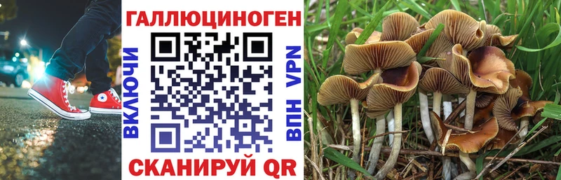 Псилоцибиновые грибы прущие грибы  Заринск 
